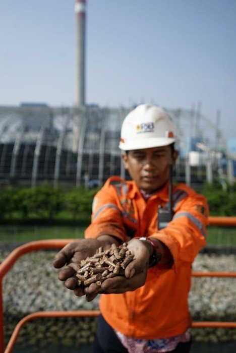 PLN Ujicoba Cofiring Pada 26 PLTU