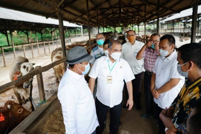 Kementan Pastikan Stok Daging Sapi Nasional Mencukupi Selama Ramadhan