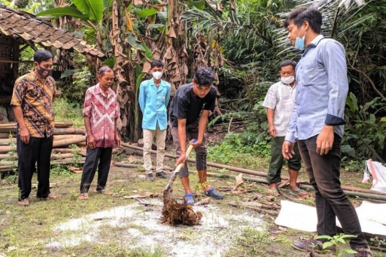 Mahasiswa UNS Latih Warga Karanganyar Olah Kotoran Ternak menjadi Pupuk Organik Padat