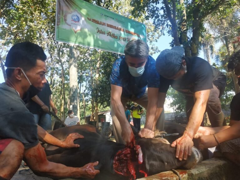 Sekolah Semesta Bagikan 2.500 Paket Daging Kurban