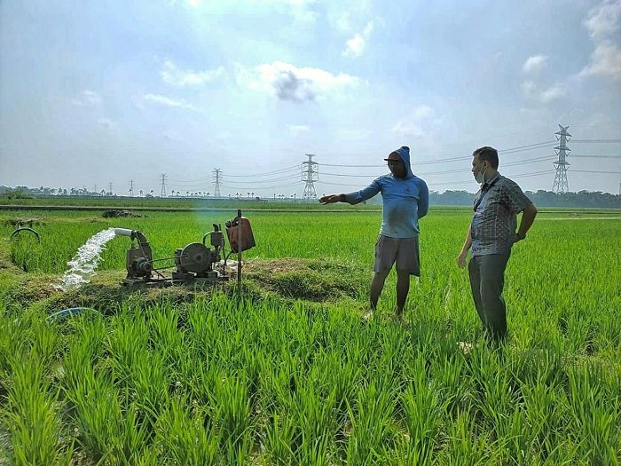 Program Electrifying Agriculture Bentuk Dukungan PLN Bagi Pelaku Usaha