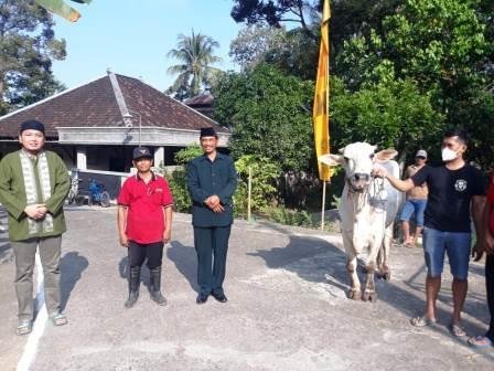 Seekor Sapi Disumbangkan bagi Warga Jumantono