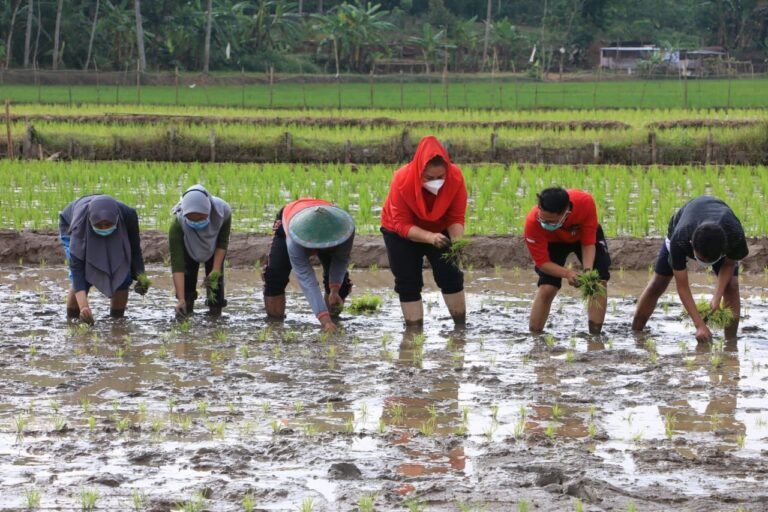 Mbak Ita Dorong Petani Milenial Wonolopo Wujudkan Kedaulatan Pangan