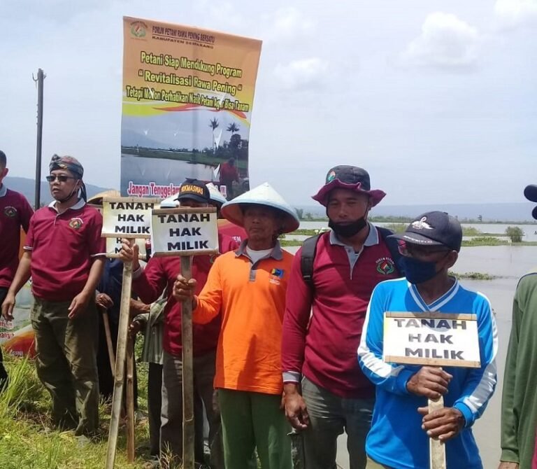 2 Tahun Sawah Terendam, Petani Rawa Pening 2 Kali Surati Presiden