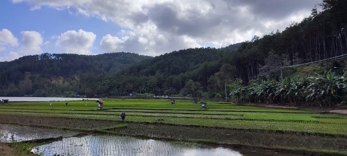 Kementan Antisipasi Dampak Banjir dan Kekeringan bagi Petani