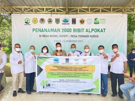 PERAGI Jateng Tanam 2.000 Alpokat untuk Konservasi Gunung Muria Kudus