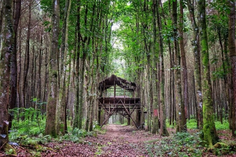 Membanggakan, Desa Wisata Bakti BCA Torehkan Prestasi Gemilang