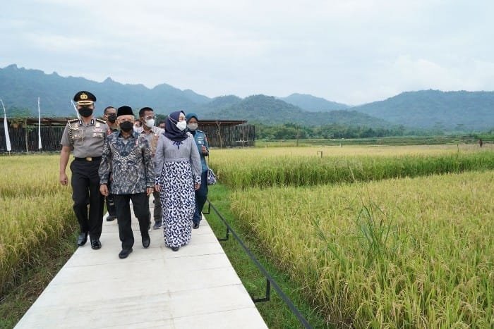 Wakil Presiden RI Sambangi Balkondes PGN Karangrejo