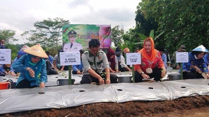 Mbak Ita Rancang Program Kelurahan Tangguh