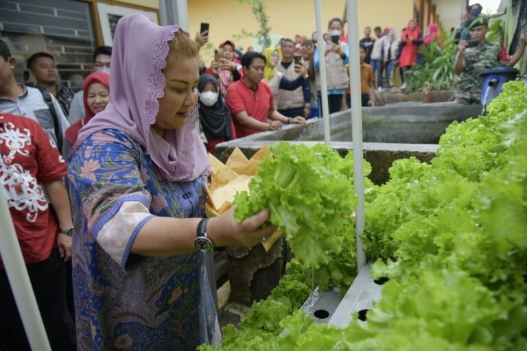 Wujudkan Ketahanan Pangan, Ita Ajarkan Urban Farming kepada Anak-anak