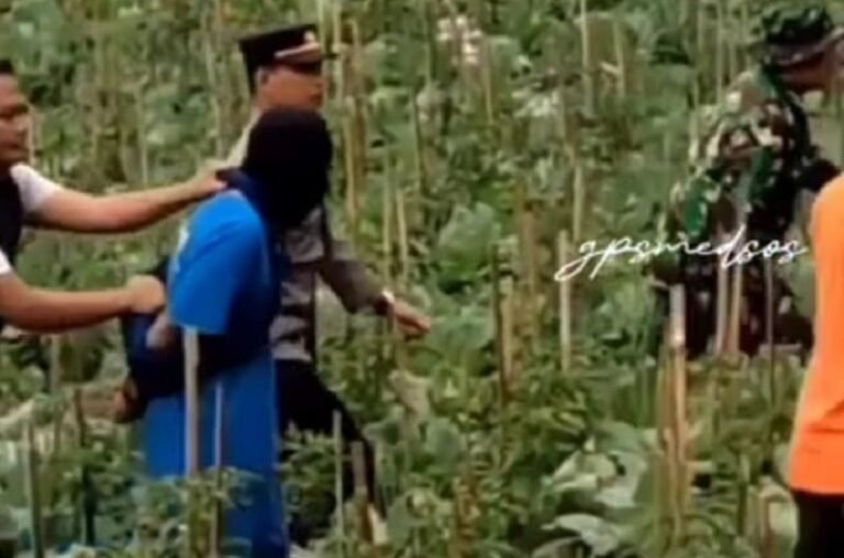 Bertambah Jadi 12 Jenazah, Posko Pengaduan Polisi Terima 14 Laporan