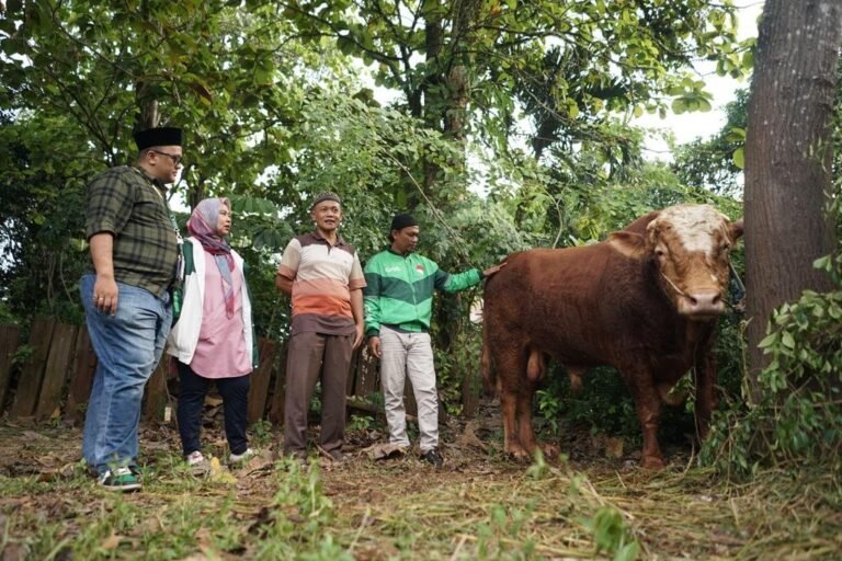 Peringati Iduladha 1444 H, Grab Indonesia Sumbang Sapi Kurban 1 Ton dan Ratusan Kambing