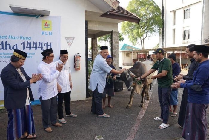 PLN Bagikan 112 Paket Daging Kurban