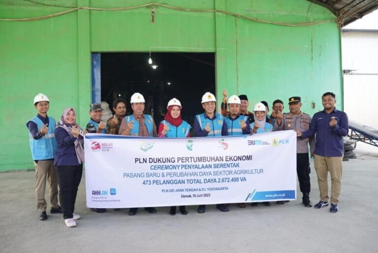 Produktivitas 2 Putri Meningkat Lewat Electrifying Agriculture