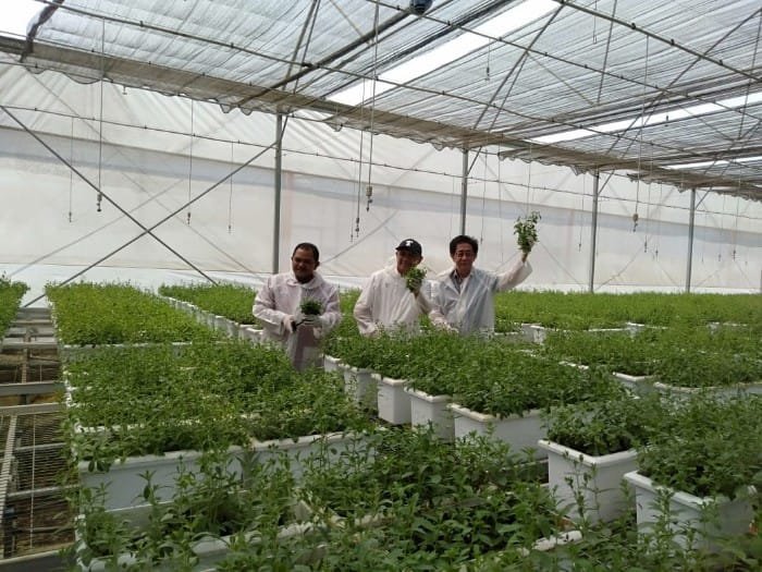 Sido Muncul Komitmen Bantu Petani Rempah, UKM dan Koperasi