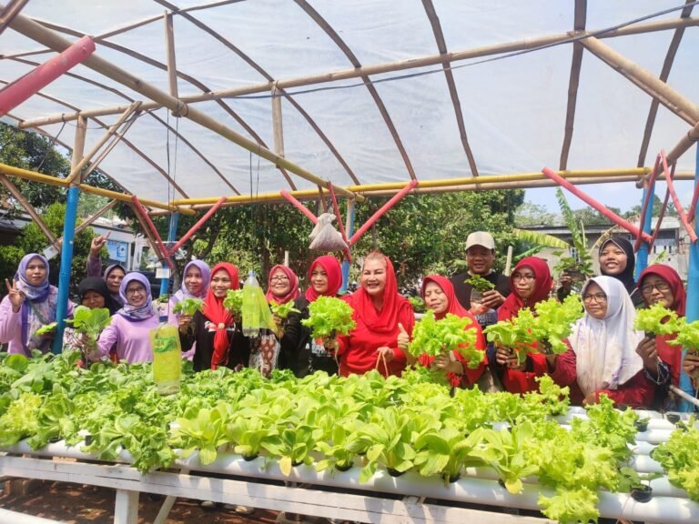 Harga Cabai Naik, Mbak Ita Kembali Ingatkan Masyarakat Pentingnya Urban Farming