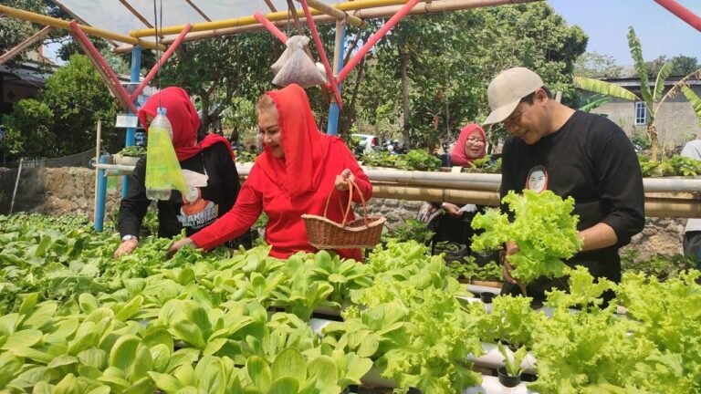 Program Petani Milenial Semarang Akan Segera Diluncurkan di Ponpes Sunan Gunungjati Baalawy Gunungpati