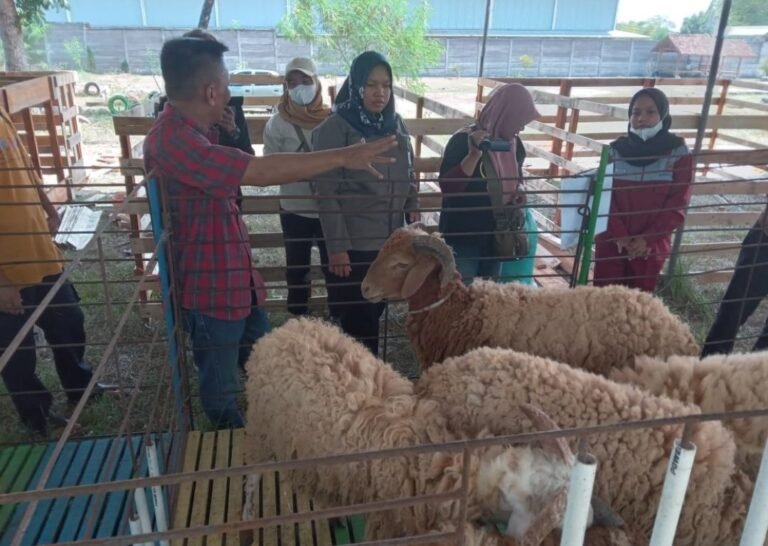 Kreatif ! Peternak Milenial Inisiasi Bazar Hewan Qurban di Tempat Wisata