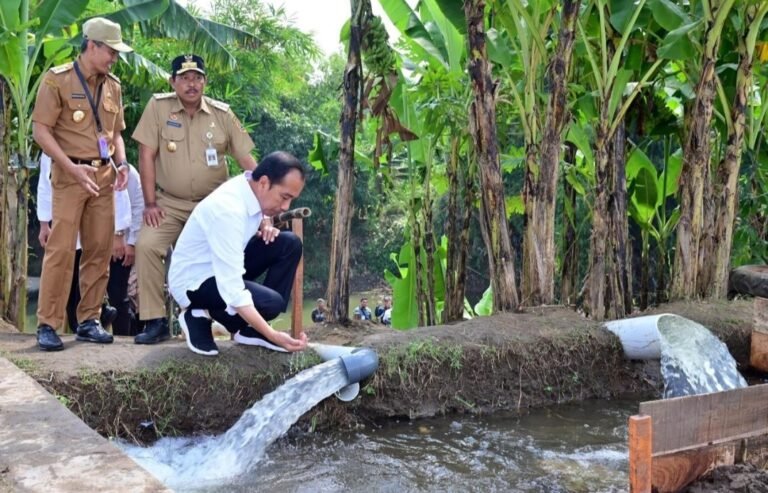 Tinjau Ini, Jokowi ke Karanganyar dan Klaten