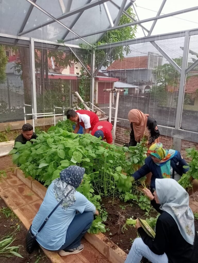 Wali Kota Semarang Dorong Pemanfaatan Lahan Tidur untuk Urban Farming