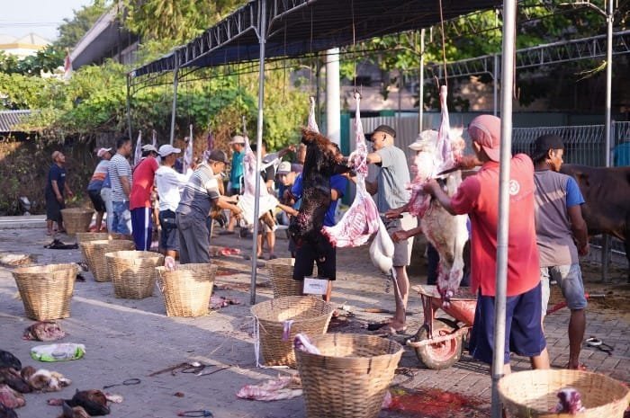 RSI Sultan Agung Kurban Puluhan Sapi dan Kambing