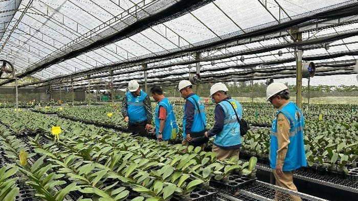 PLN Dukung Pertumbuhan Sektor Agrikultur di Kabupaten Magelang