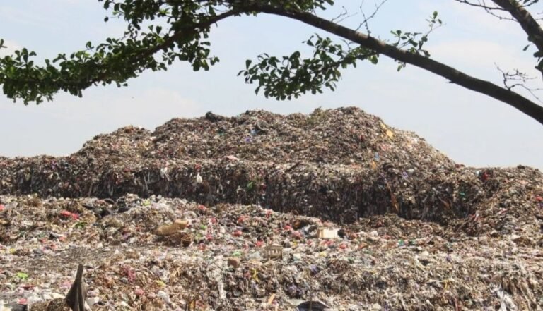 Kudus Gandeng SwedFund untuk Kelola Sampah Menjadi Energi Terbarukan