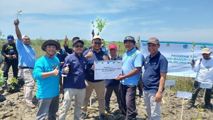 Cegah Abrasi Pantai, PLN Rehabilitasi Mangrove di Kaliwlingi Brebes