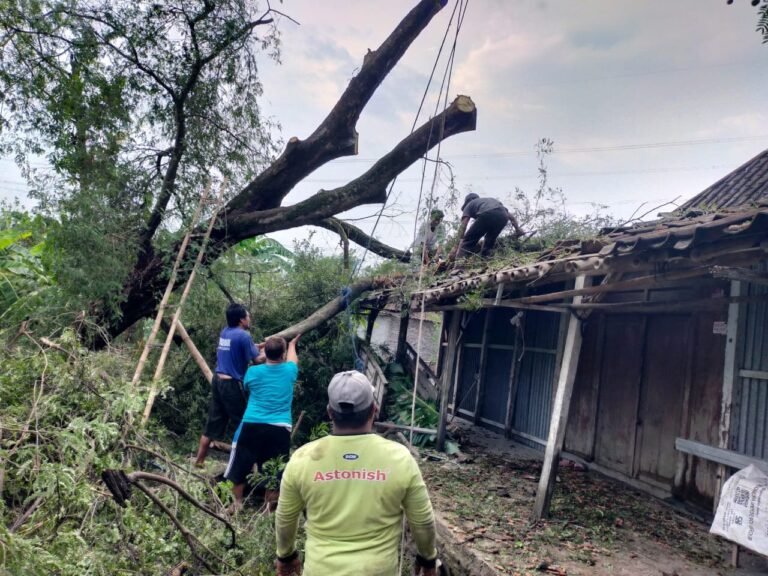 Angin Ribut Sapu Sukoharjo, 7 Rumah Rusak Belasan Pohon Tumbang