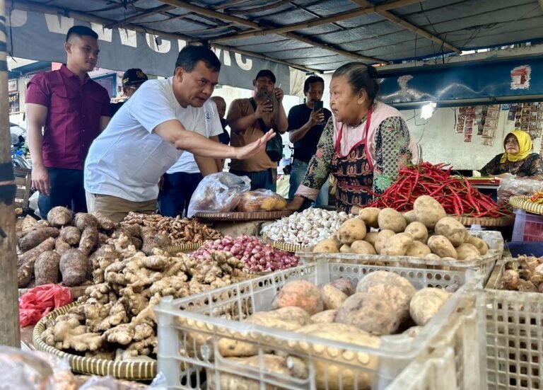 Hari Pertama Kampanye Ahmad Luthfi Cek Harga Pangan di Pasar Tradisional 