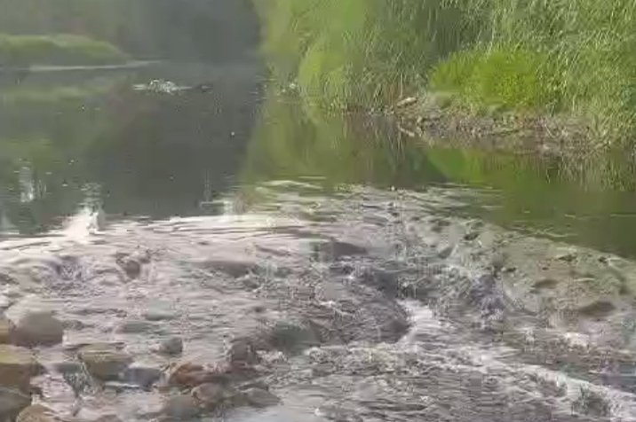 Prabowo -Jokowi Ketemu Paslon 2 Luthfi – Yasin, Siapkan Singkronisasi Pemerintahan ke  Depan 