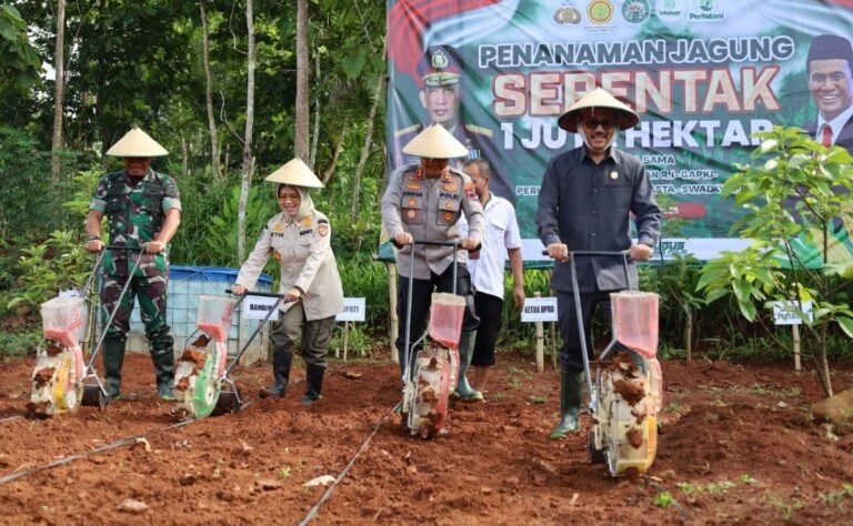 Sukoharjo Tanam Jagung Serentak di 12 Kecamatan 