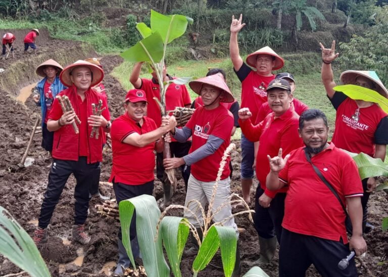 PDIP Kabupaten Semarang Tanam Serentak Tanaman Pengganti Beras