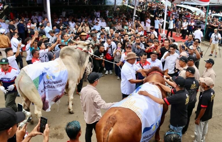 Heboh Kontes Sapi 2025 di Boyolali Dihadiri Gubernur